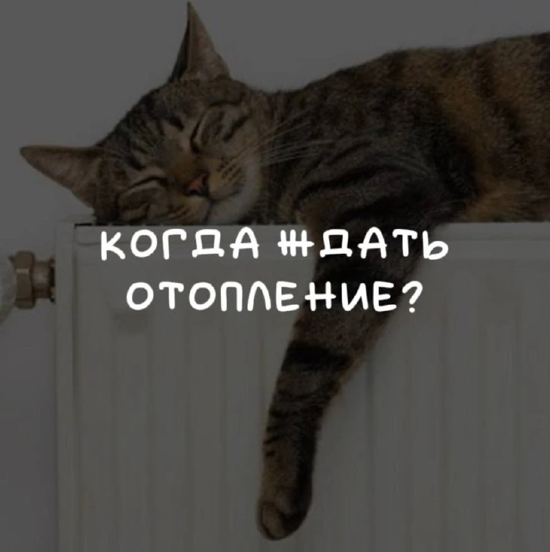 В Москве отопление включат, когда среднесуточная температура на протяжении пяти дней бу...
