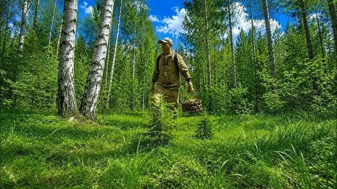 Сезон тихой охоты в Тюменской области превращается в битву за выживание.