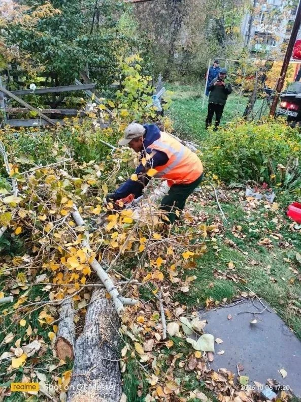 🌪️ В Барнауле устраняют последствия сильного ветра