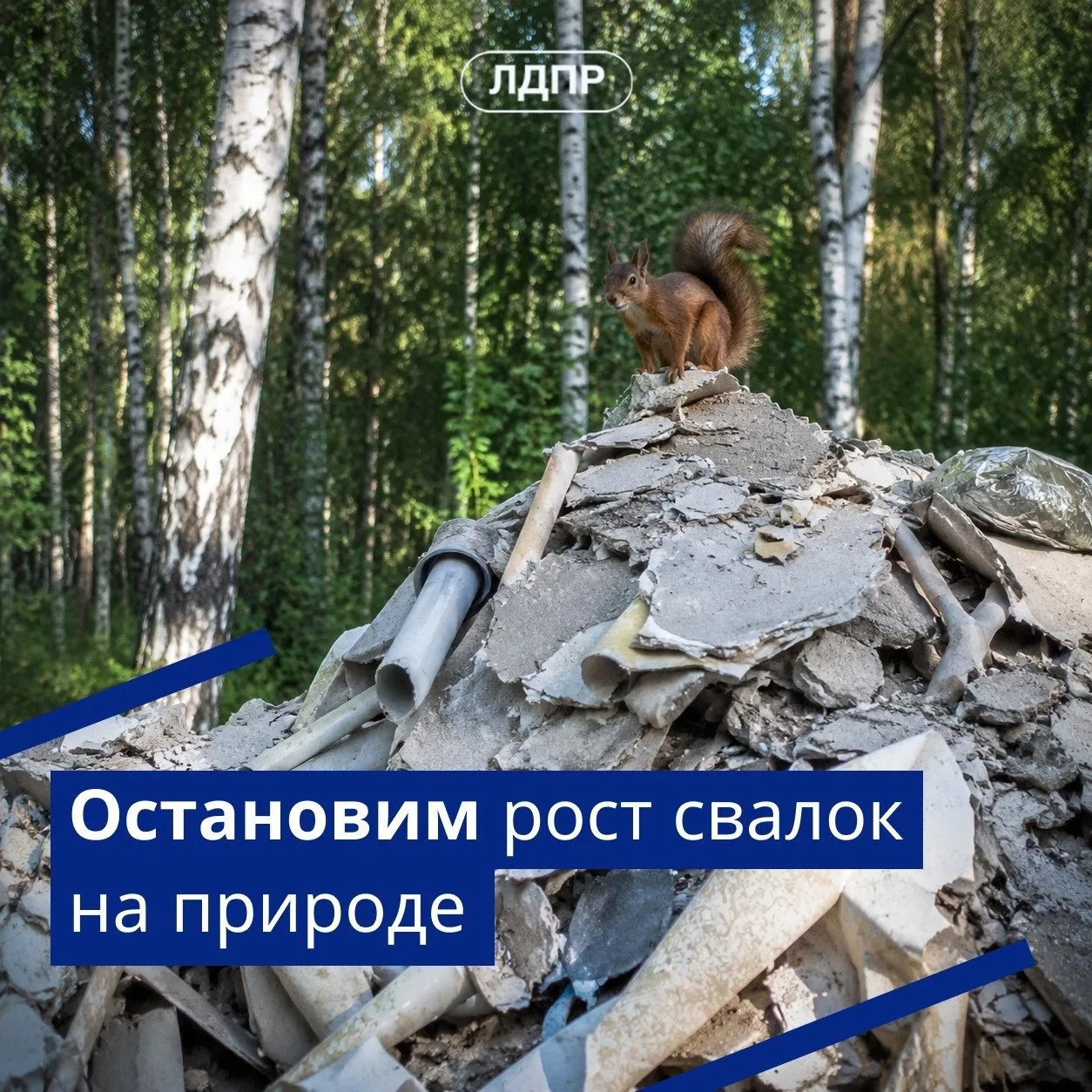 Помочь людям, защитить природу: ЛДПР знает, как решить проблему с вывозом мусора после ...