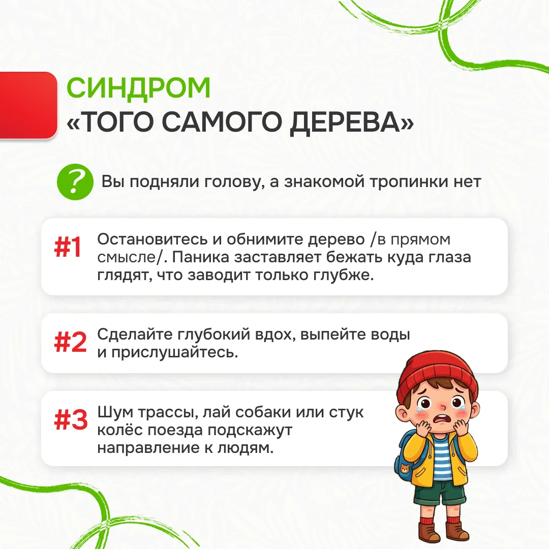 Памятка «Лес без происшествий»: Ваш гид по безопасному отдыху на природе Лес – это удивительное мест