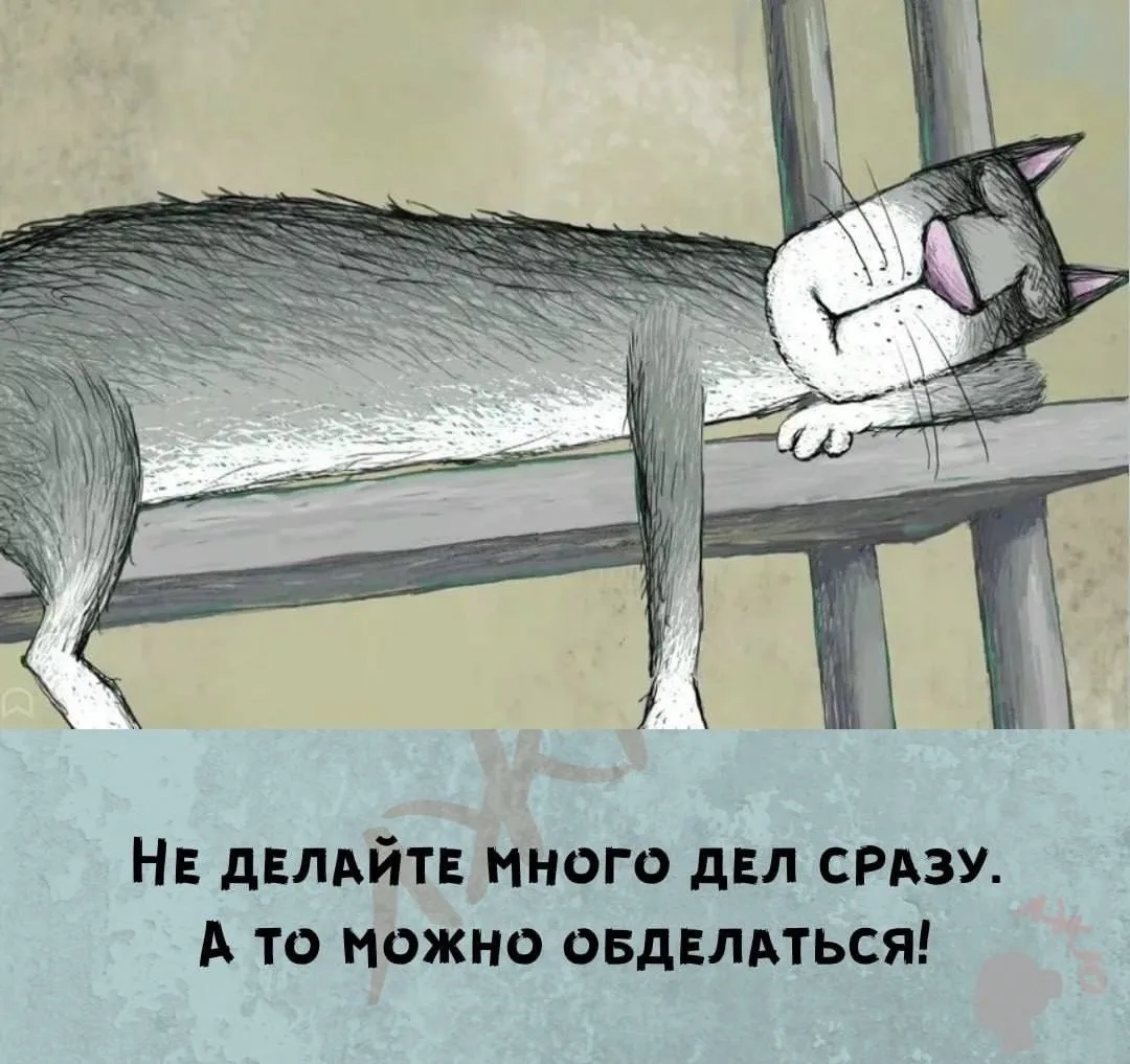 Я девочка, мне можно!