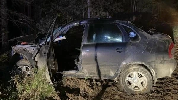 В Шенкурском округе 41-летний мужчина угнал автомобиль у своего приятеля. Далеко уехать...