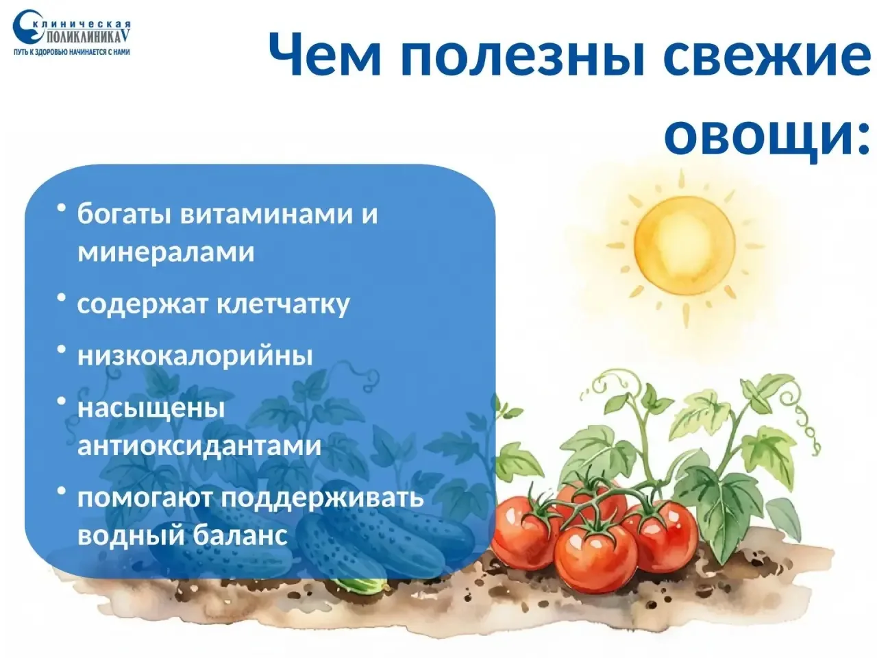 🗓️День свежих овощей: заряд здоровья прямо с грядки! 

Лето — идеальное время, чтобы наполнить свой