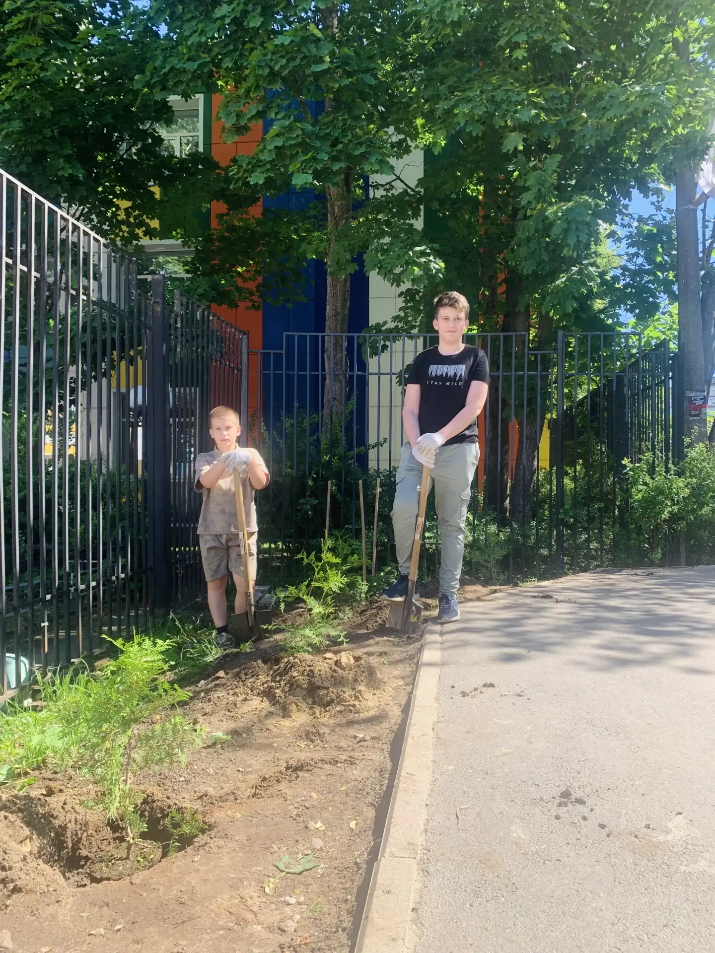 В нашем любимом Лицее сбор макулатуры уже традиция, в которой принимает участие почти каждый. Мы с р