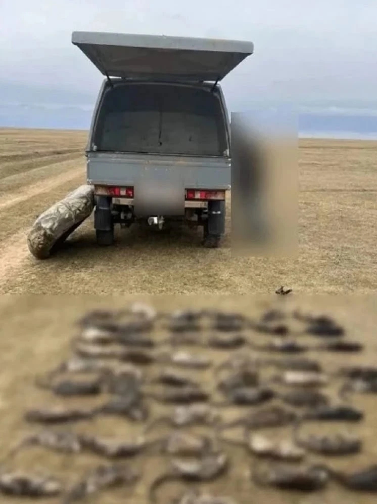 Полицейские Калмыкии задержали браконьера  Полицейские Ики-Бурульского района при проведении рейда о