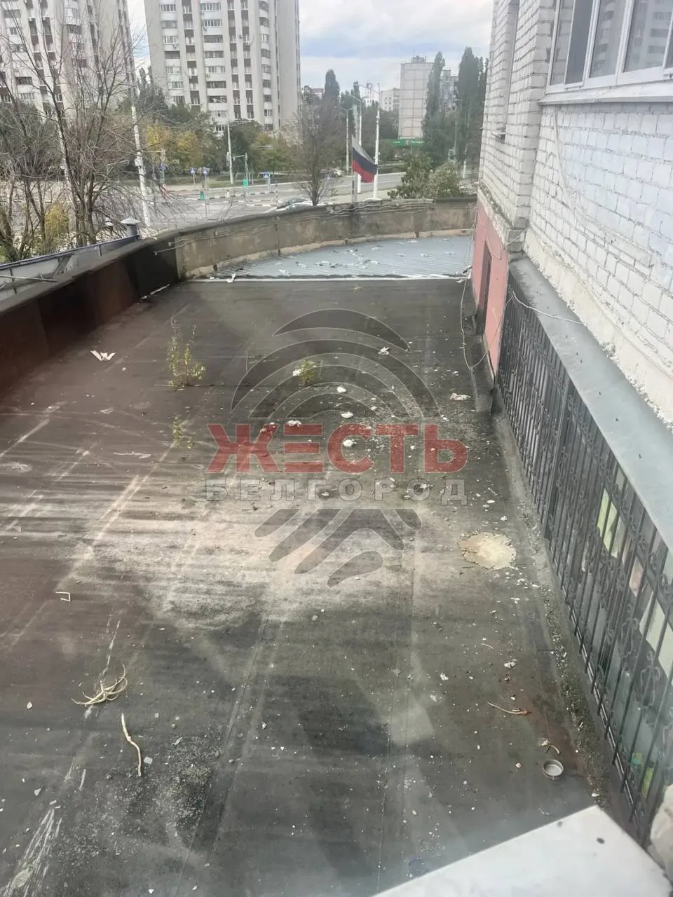 🤢 Настоящую свалку под окнами устроили жильцы многоэтажки на улице Королёва