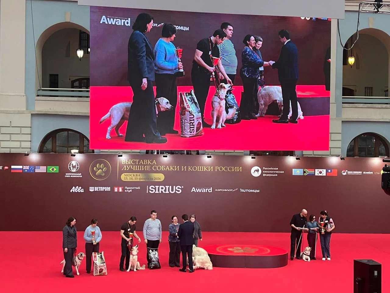 В центре столицы, в Гостином дворе, прошло уникальное мероприятие, выставка "Лучшие собаки и кошки Р