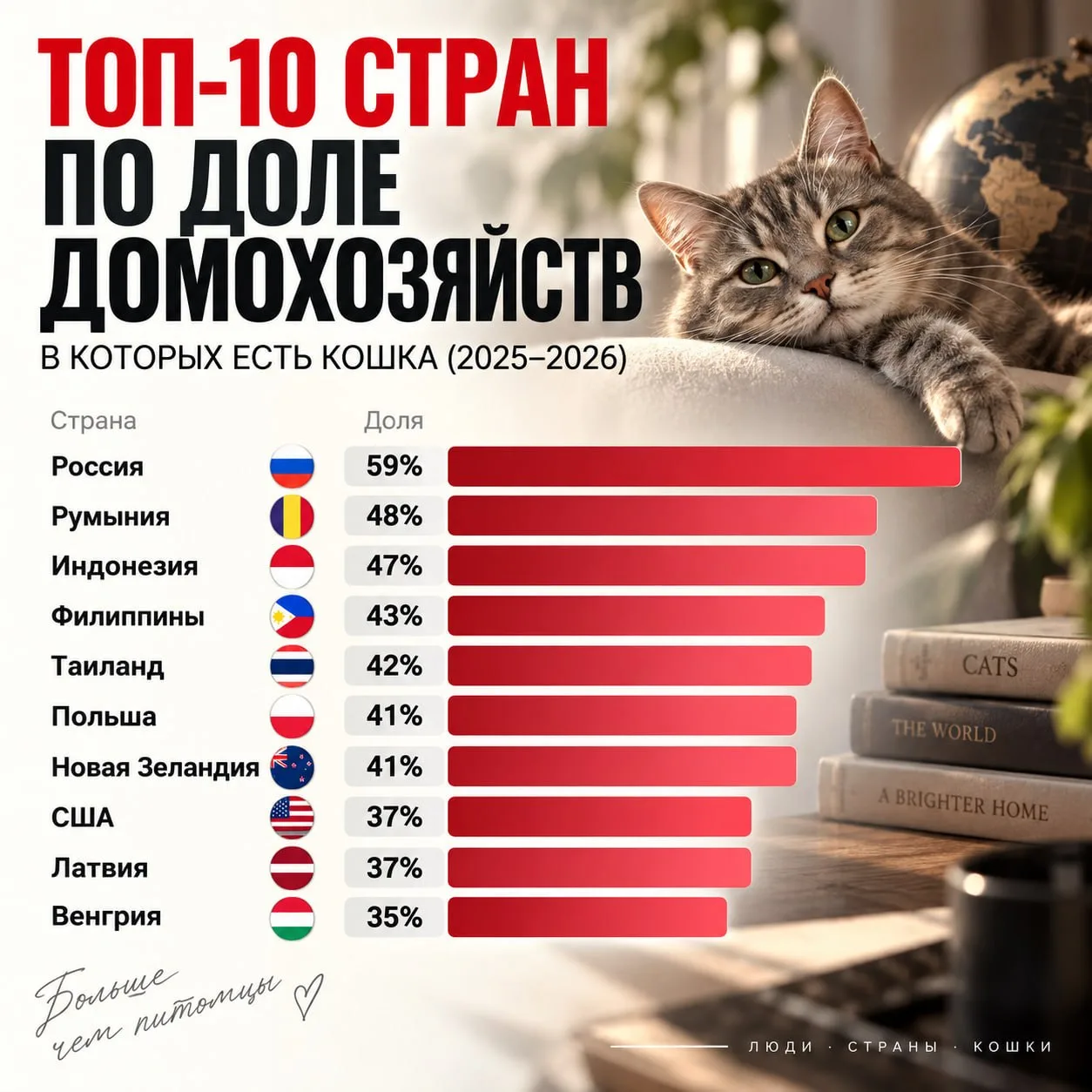 😻 Россия — самая кошачья страна на планете