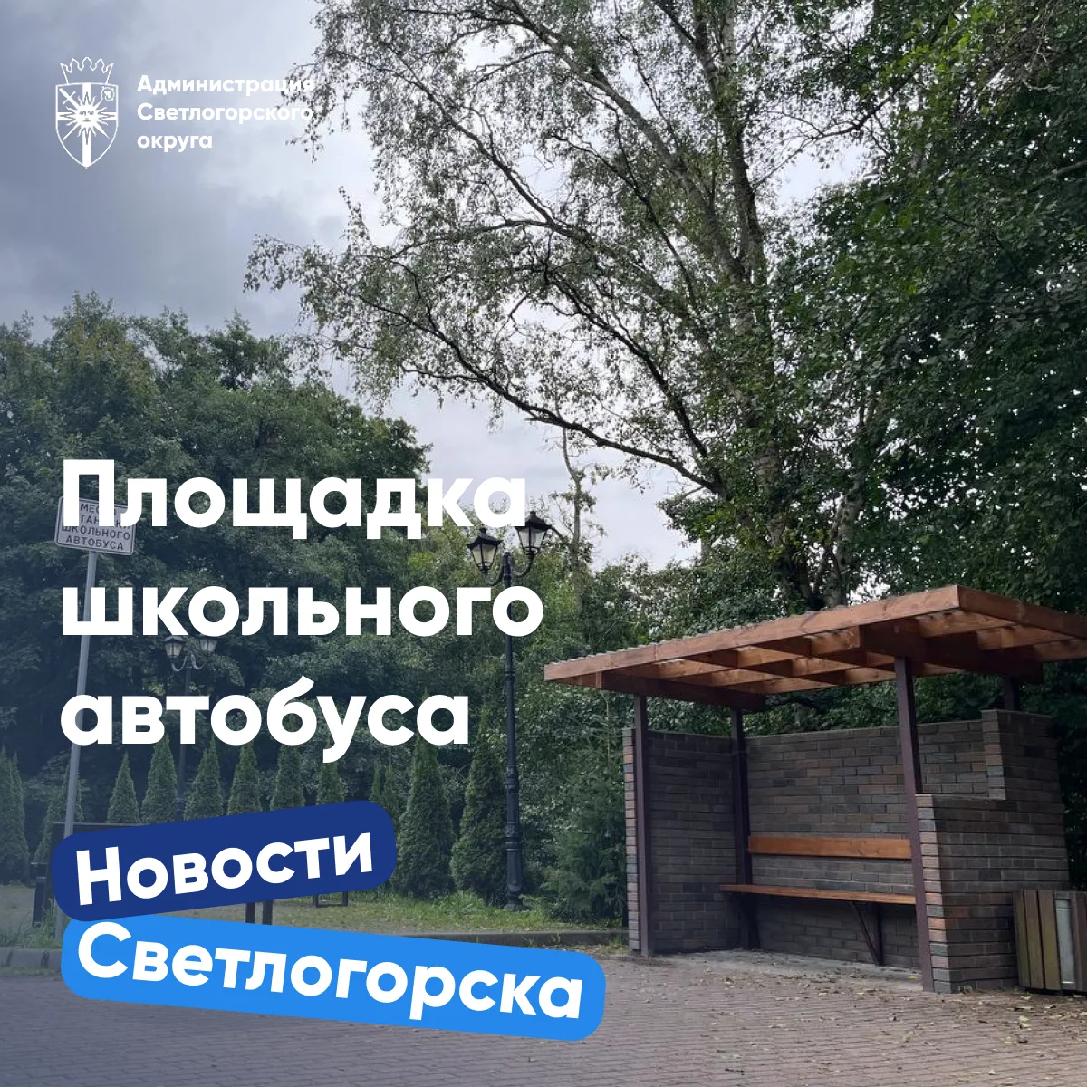 ⚠️ Остановка школьного автобуса у Сербского сквера – не парковка для авто!