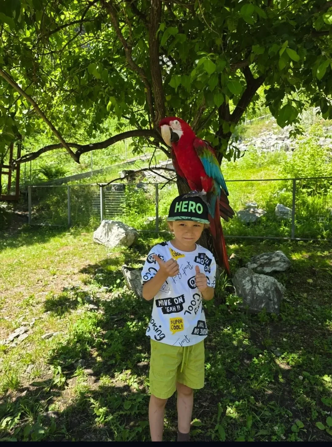📸 Флешмоб 📸