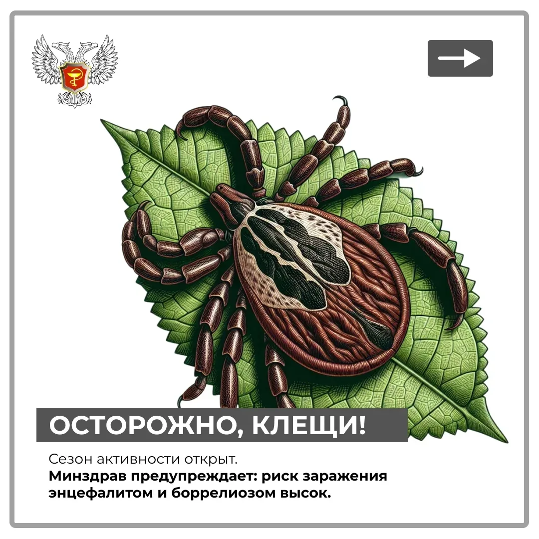 Не шутите с клещами. Один укус — и последствия могут быть на всю жизнь: энцефалит, борр...