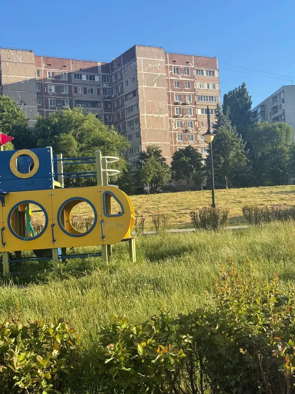 Уважаемая администрация, когда уже покосится трава на детской площадке на набережной?
Детей уже не в