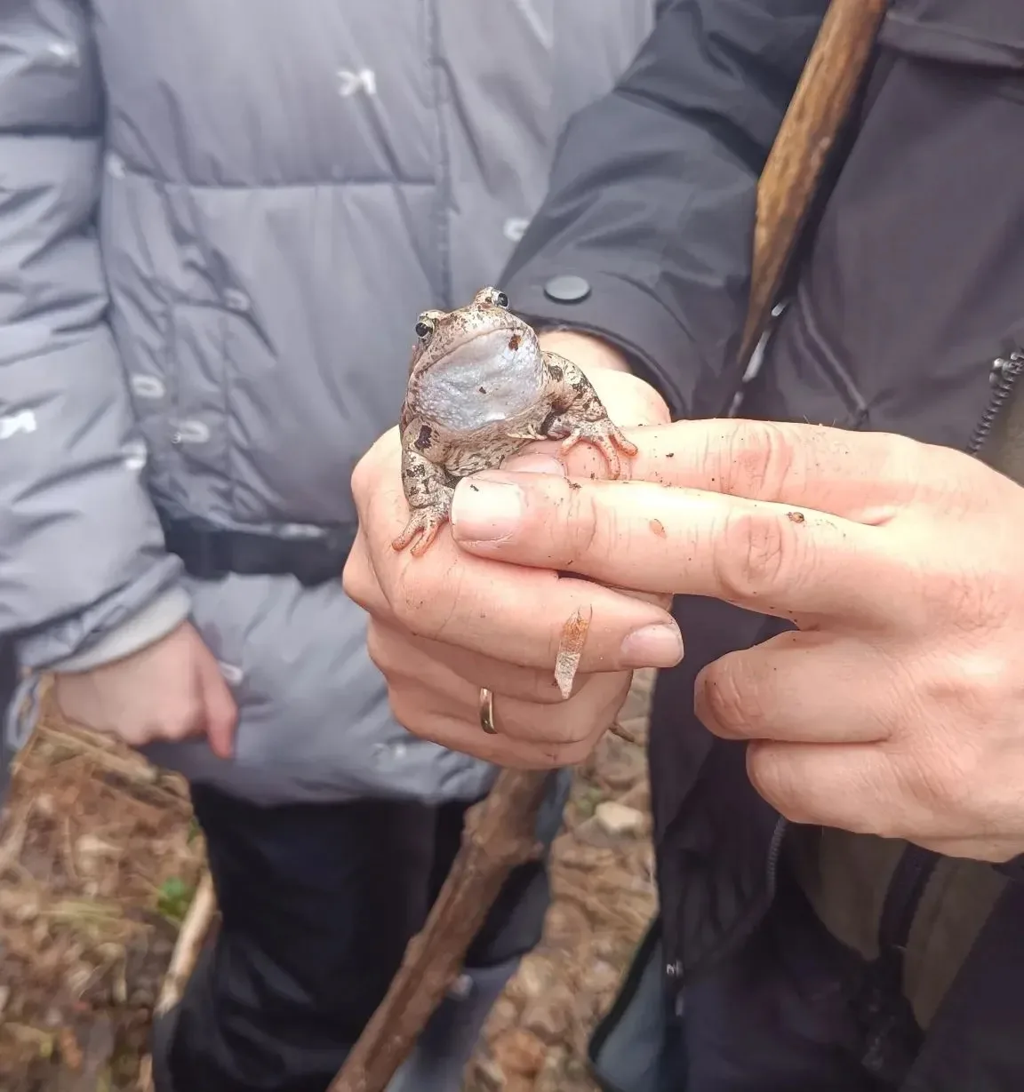 📍 Учебная поездка на Звенигородскую биологическую станцию  🗓️ С 1 по 2 апреля ученики 5–6 классов со
