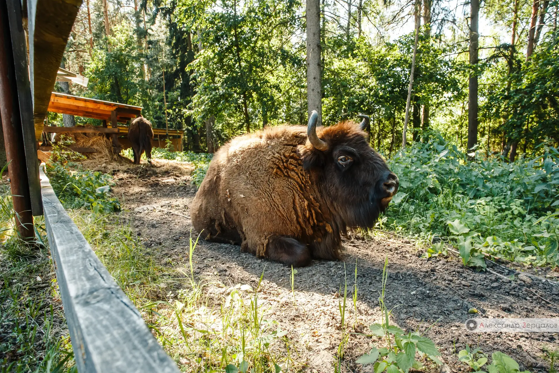 Небольшая фотопрогулка по Козельску и его окрестностям ❤