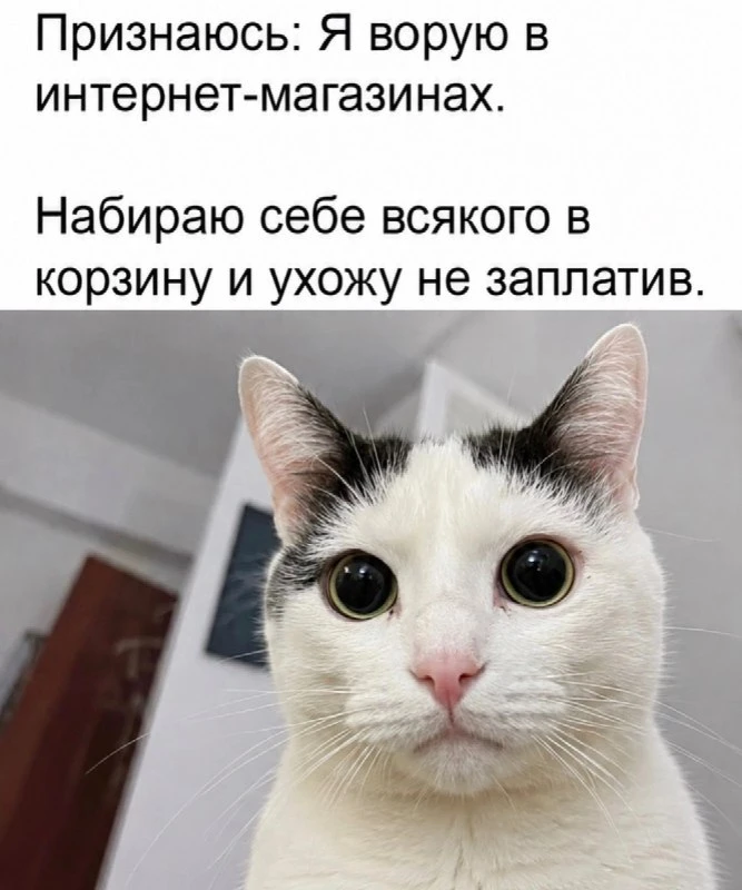 ✨ Большинство так и делают