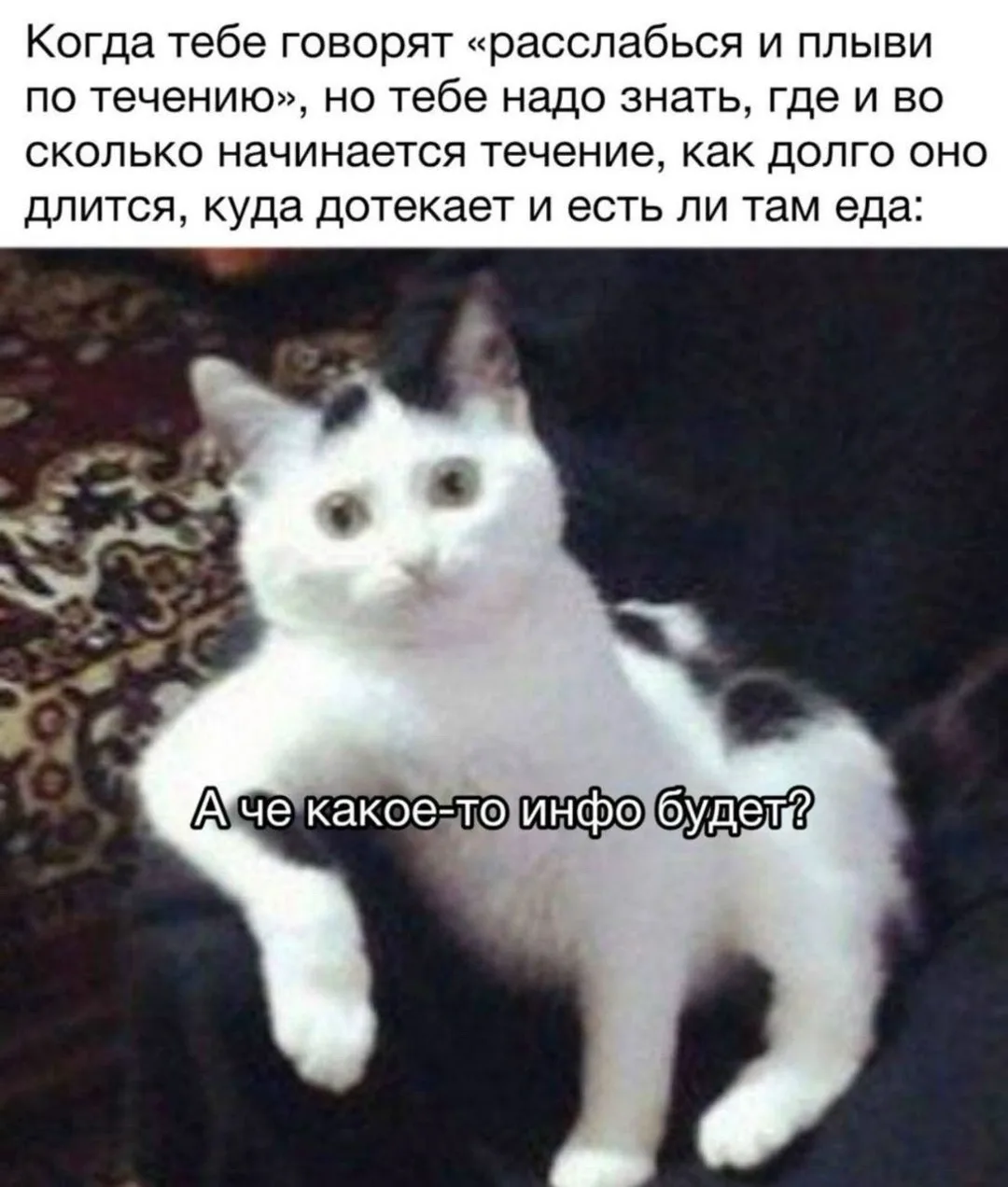 Ночной чат 💭