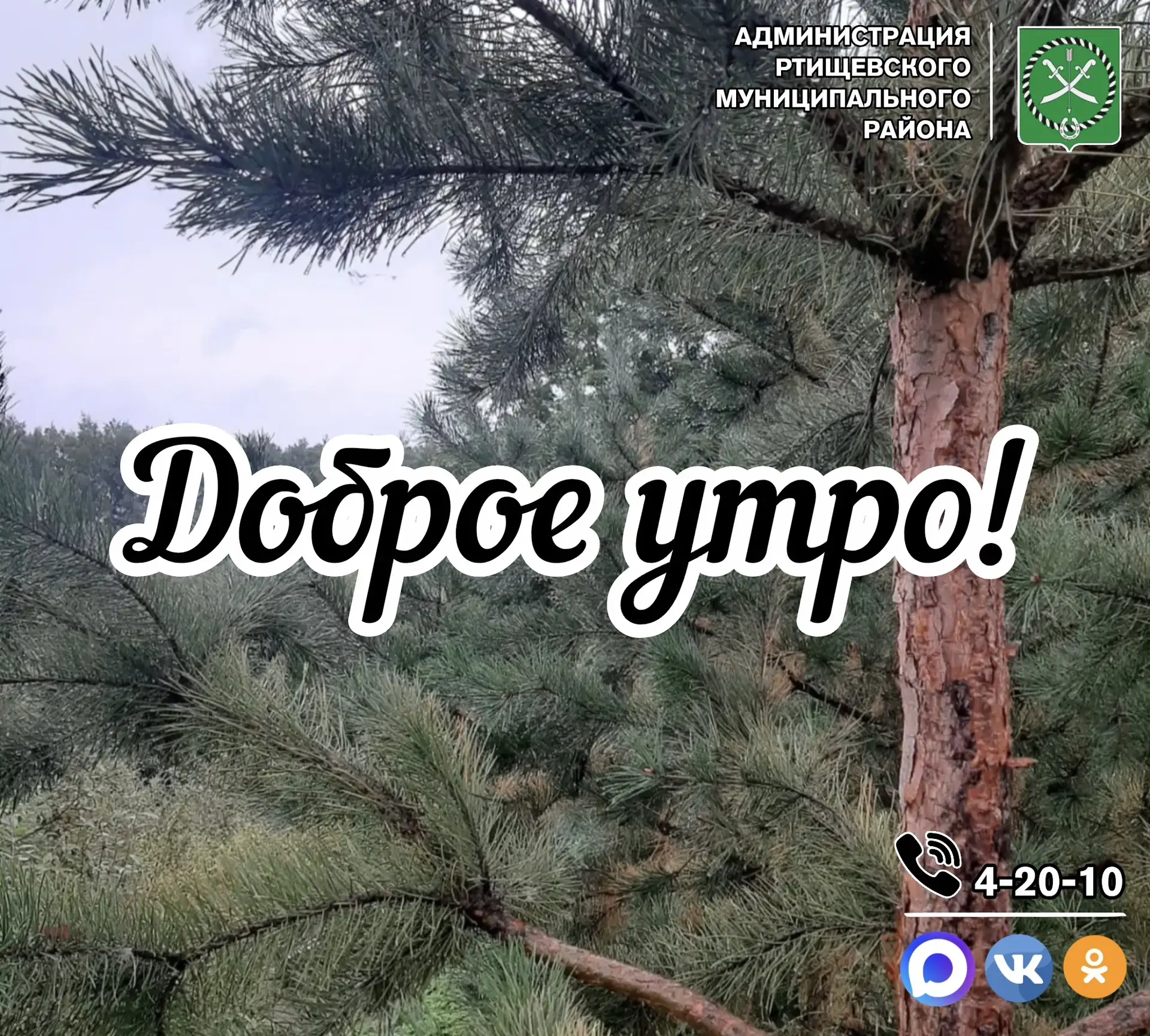 Доброе утро, дорогие подписчики!
