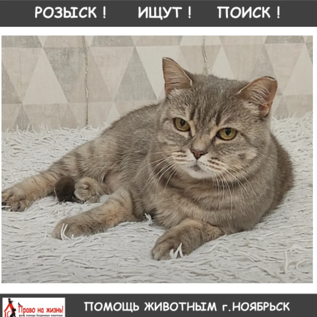 !ВНИМАНИЕ РОЗЫСК!