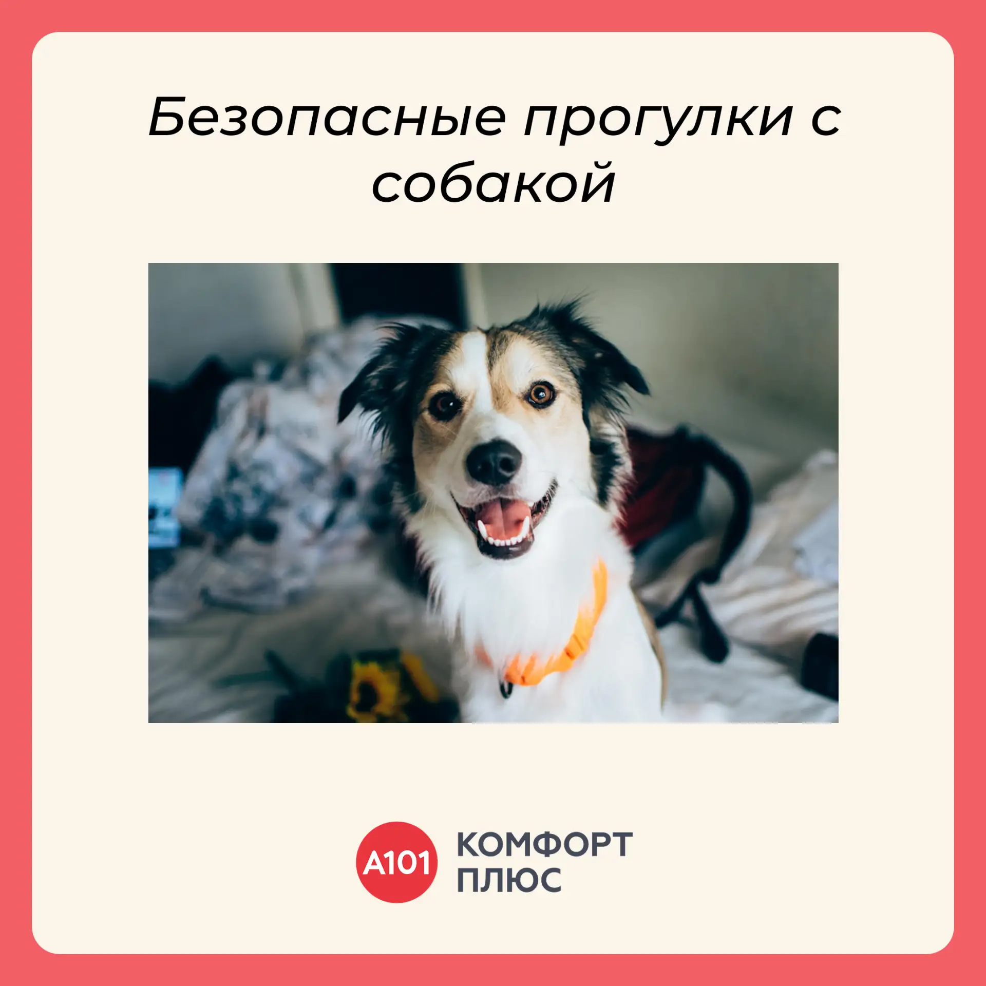 🦮 Лето — время долгих прогулок с питомцами. Но важно помнить: комфорт во дворе зависит от каждого ж