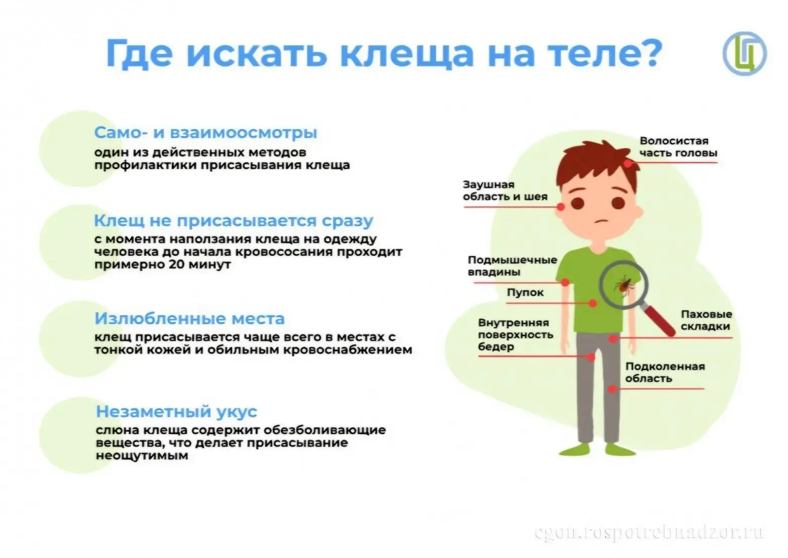 📍Где искать клеща на теле?🔍