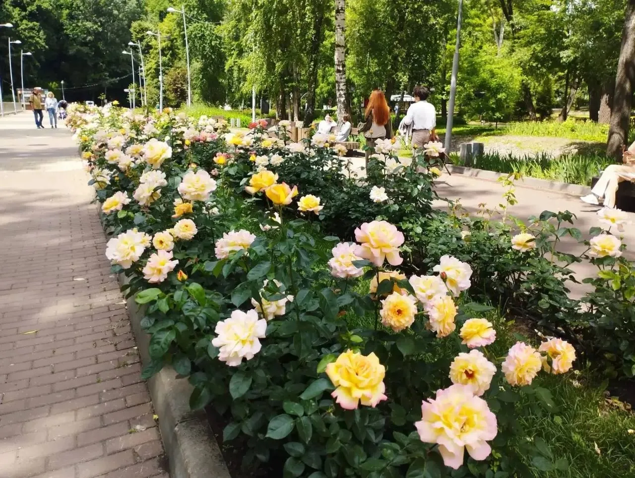😍 Какая красота в Центральном парке 

🦅 Т-Воронеж в TG | В MAX
➡️ Предложка в TG | В MAX