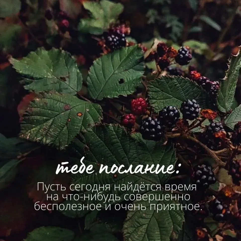 Самого прекрасного и легкого дня Меркурия, Дорогие мои