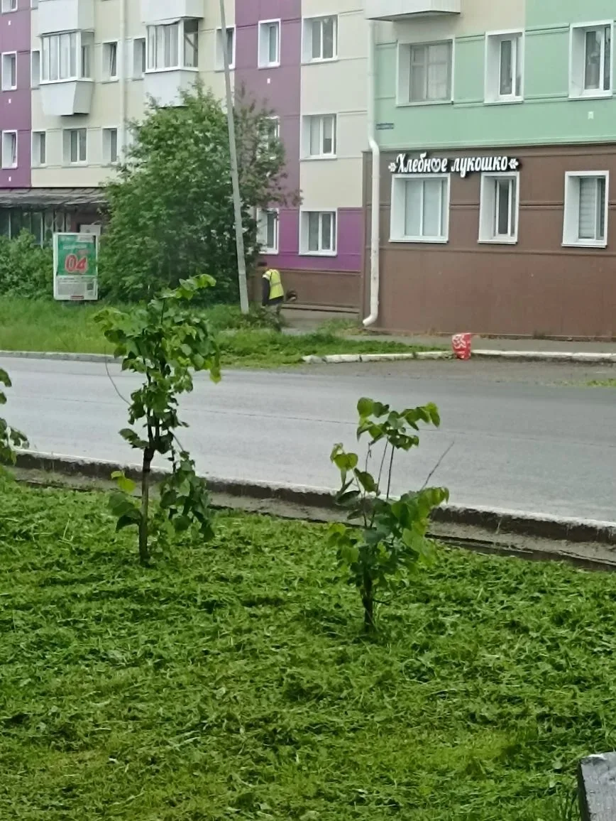 🌱МБУ Чистый город продолжает скашивание травы вдоль основных улиц в муниципальном округе.