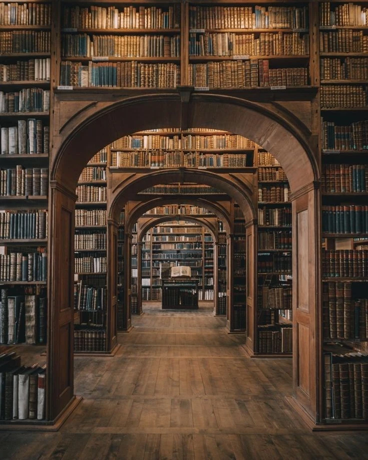Недавно я прочитала (послушала) книгу "Полночная библиотека"