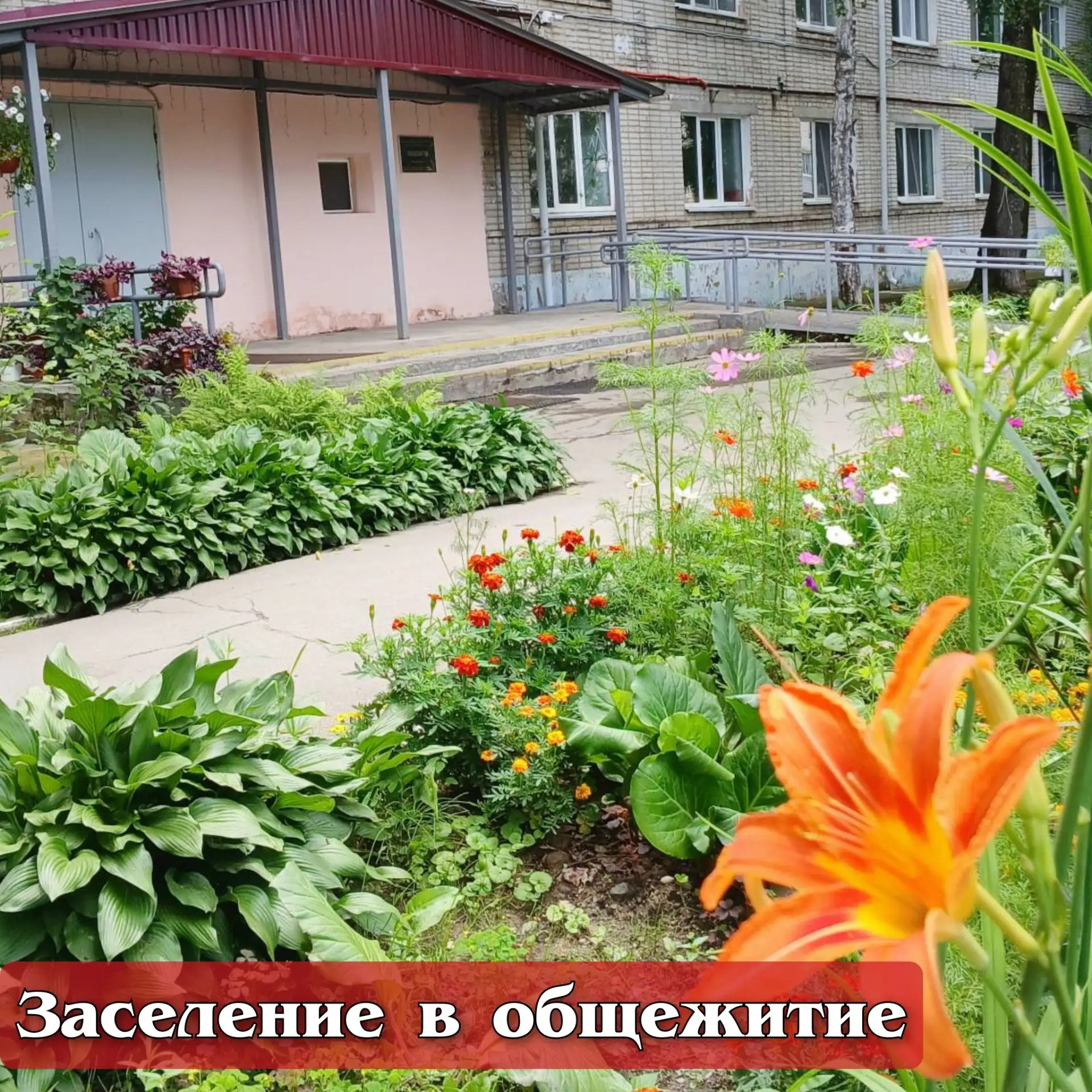 #ХГИК: Заселение в общежитие: график и важная информация 🏠