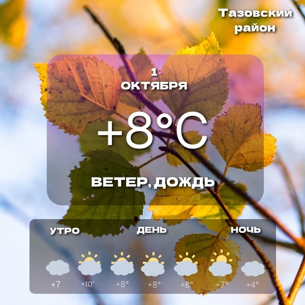 🌤️Прогноз погоды на сегодня