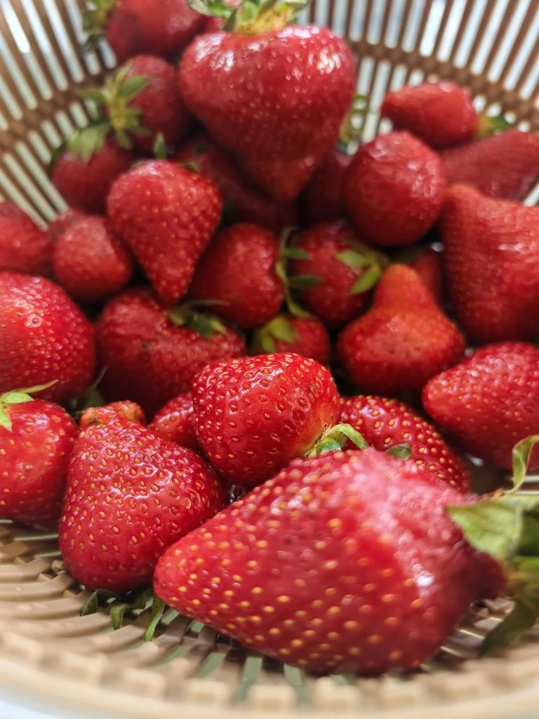 Доброе утро!  Завтракаем. 🤗 Отличной пятницы вам желаем, друзья! 🌺