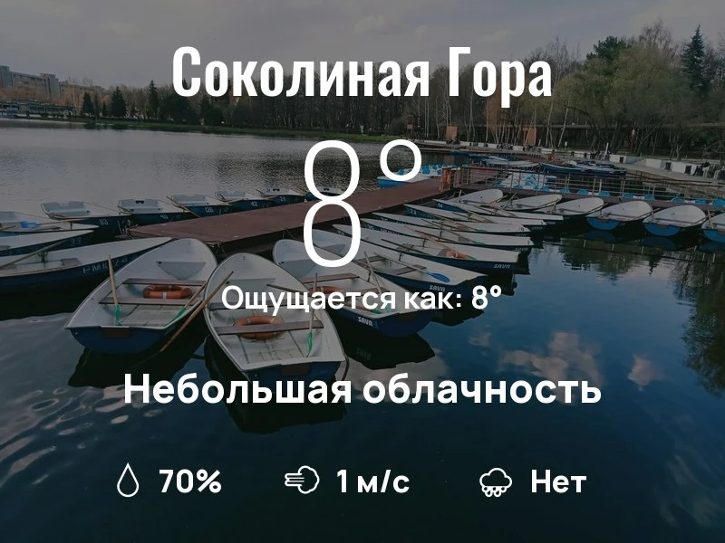 Что с погодой в районе Соколиной Горы?