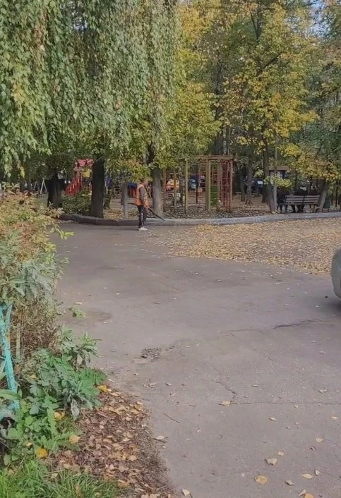 Жители Томилино недовольны уборкой листвы воздуходувками