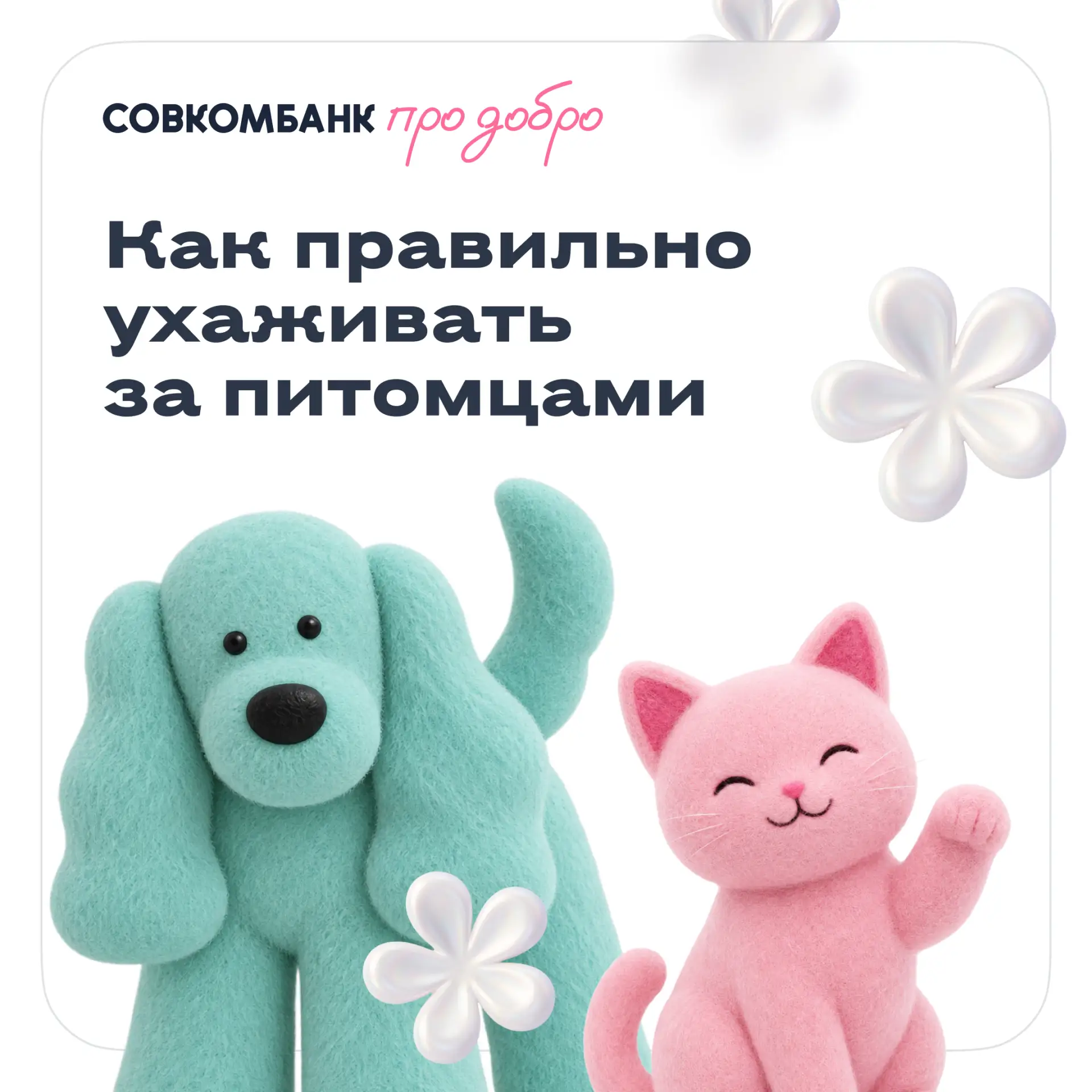 🐾 Заботьтесь о питомцах правильно