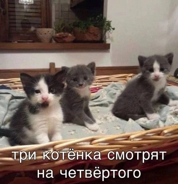Окак