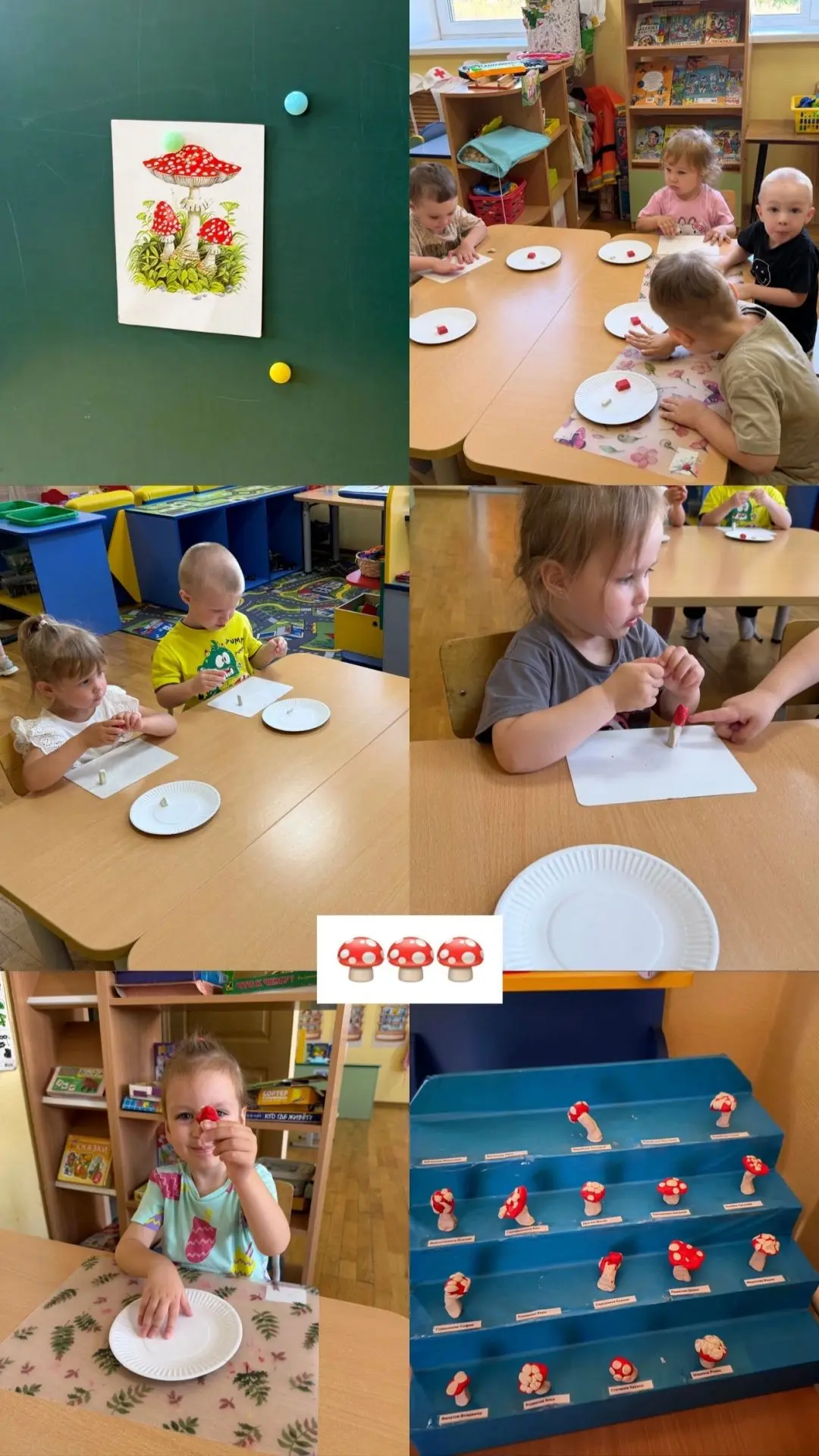 🍄 Путешествие в грибное царство!