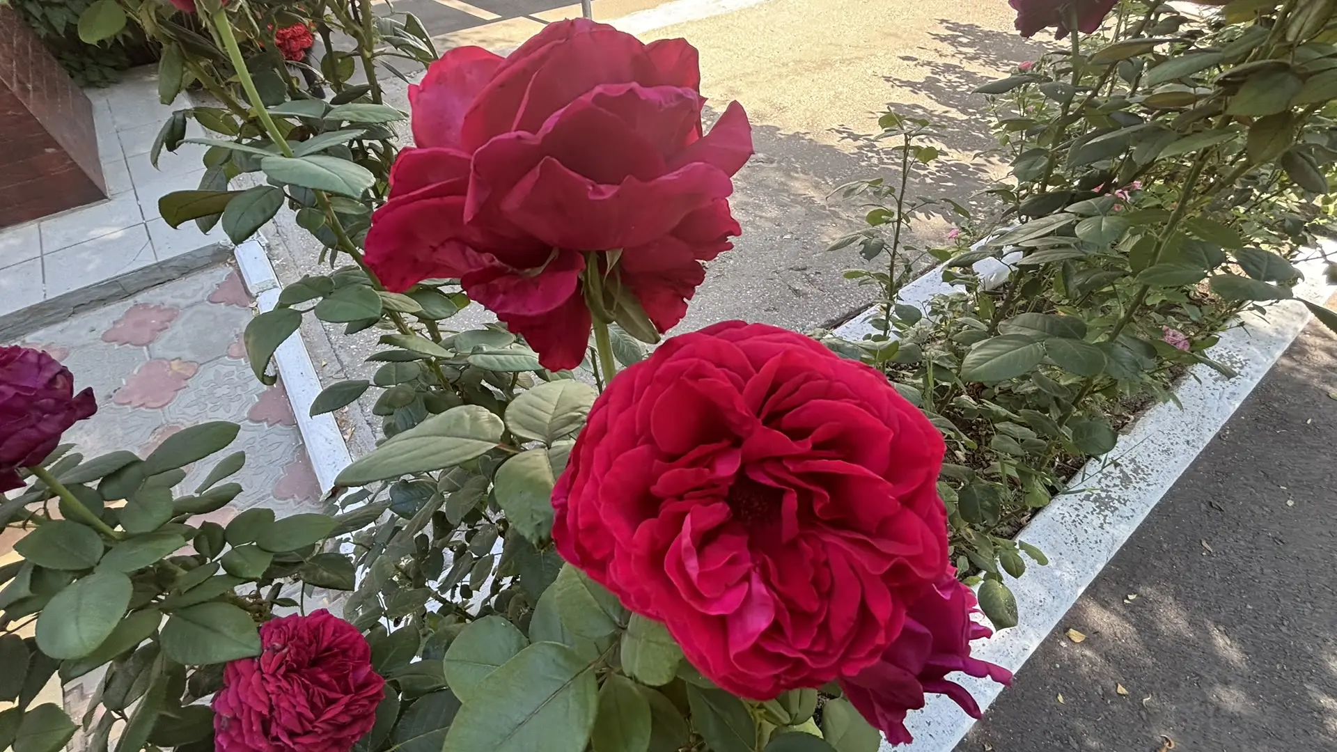 🌅Доброе утро!