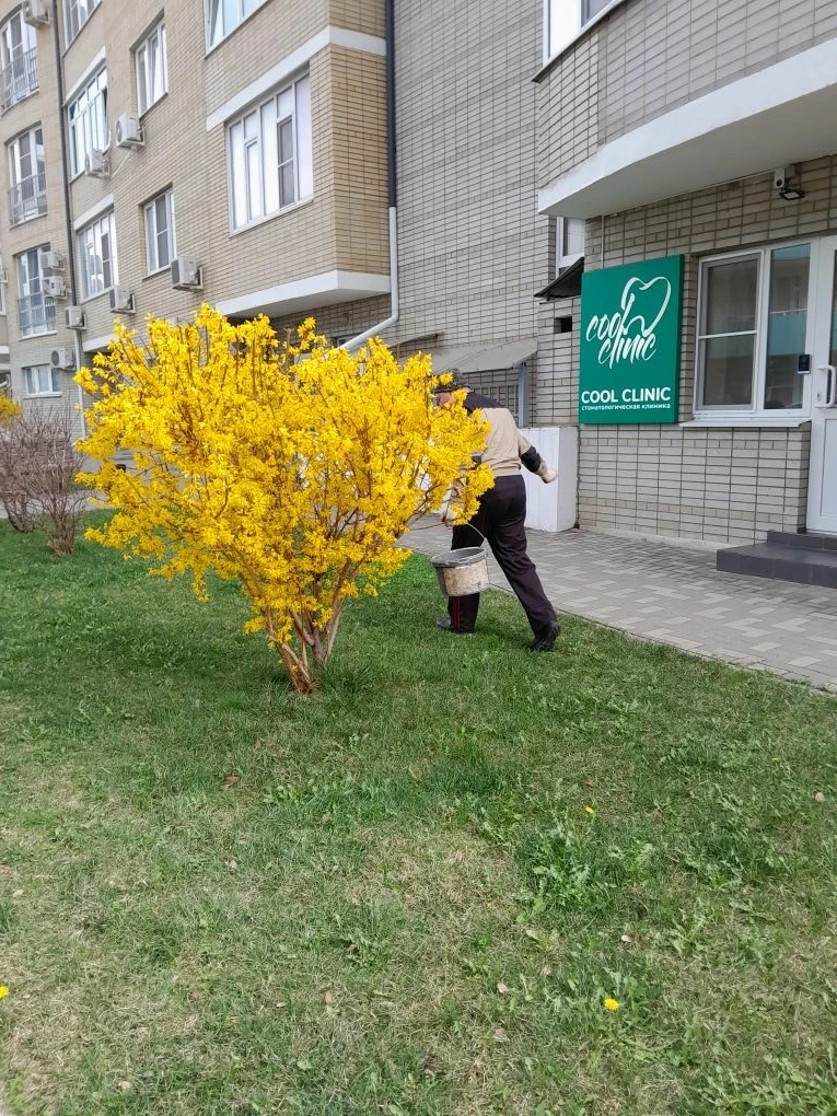 Обработка газона удобрением - ул. Дзержинского д. 93