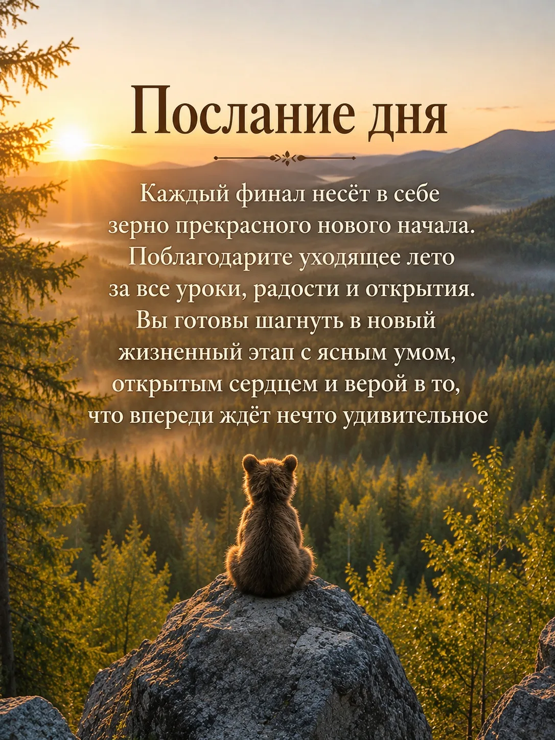 Доброе утро! ☀️