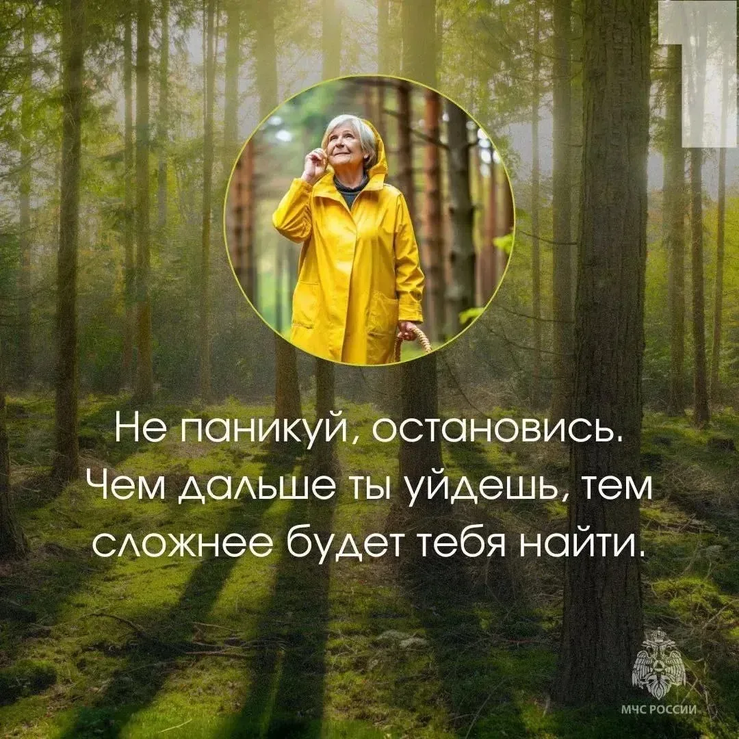 ⚠️Грибникам на заметку