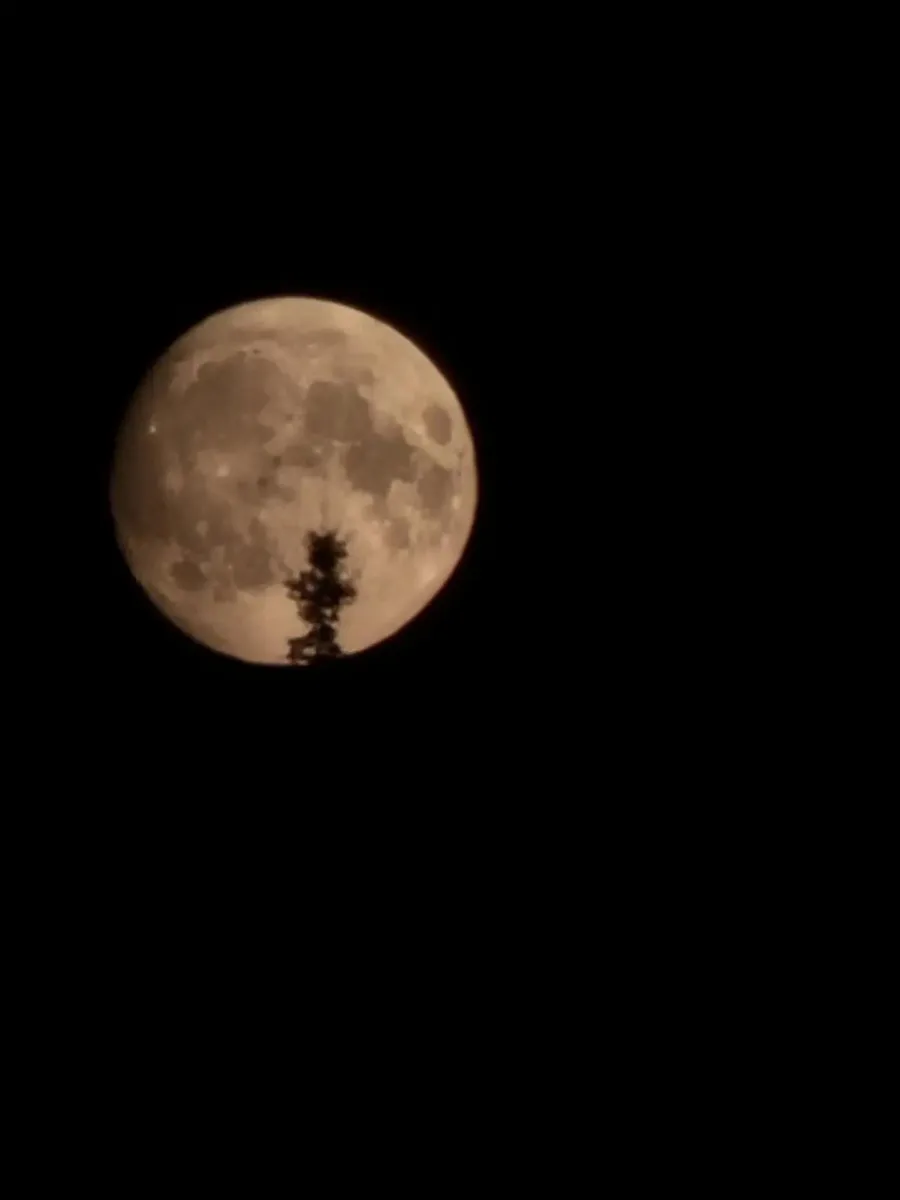 Подписчики «ТЩ» делятся кадрами «оленьей луны» над Щёлково 🌕

👉 Подписаться | Предложить новость