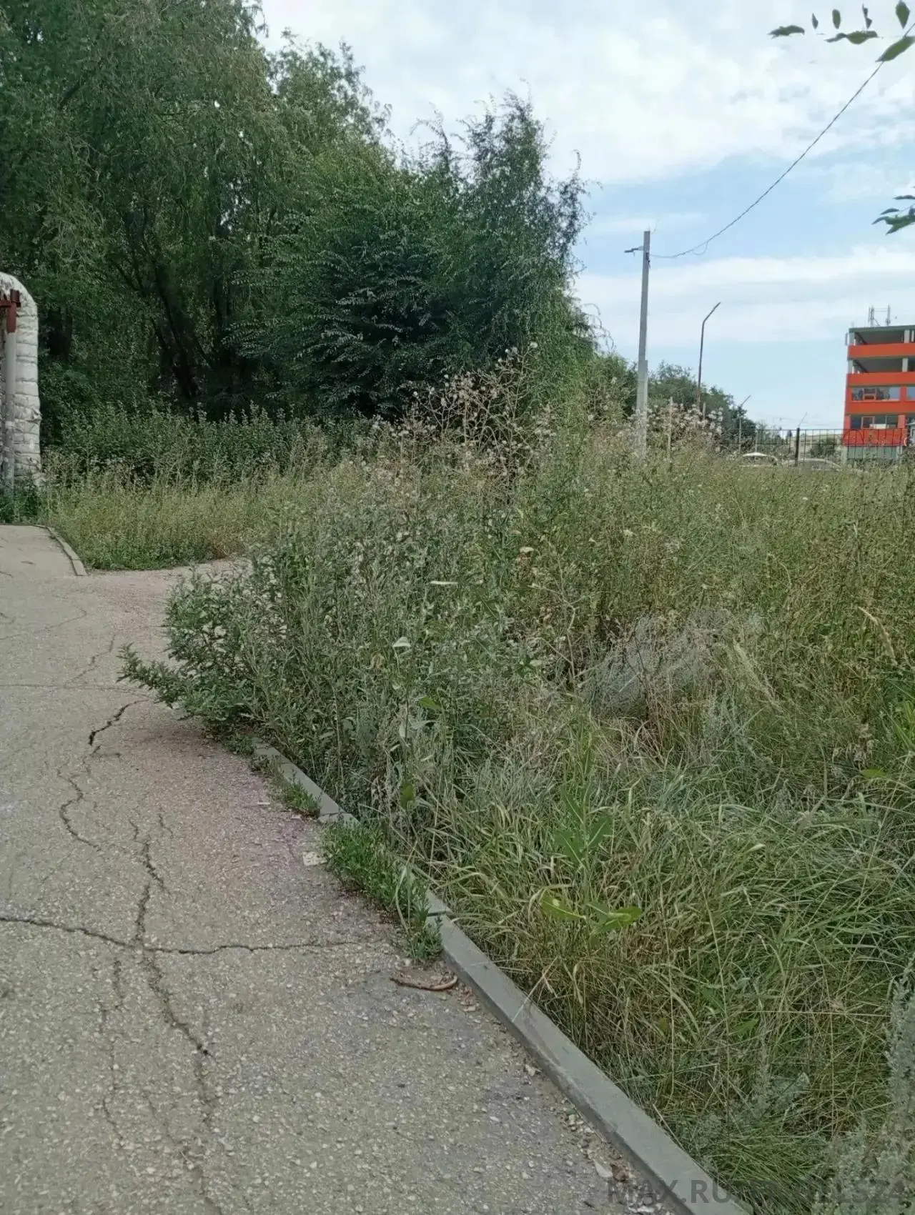 От подписчика:

Дорога к школе 30 на Колотилова заросла травой. За лето ни разу не косили траву.