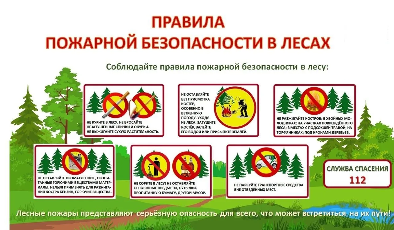 🌲 Памятка по пожарной безопасности в лесу