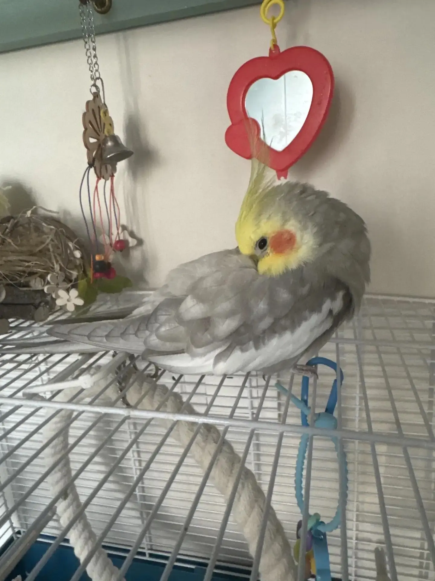 Милота от Марич 💛🩶