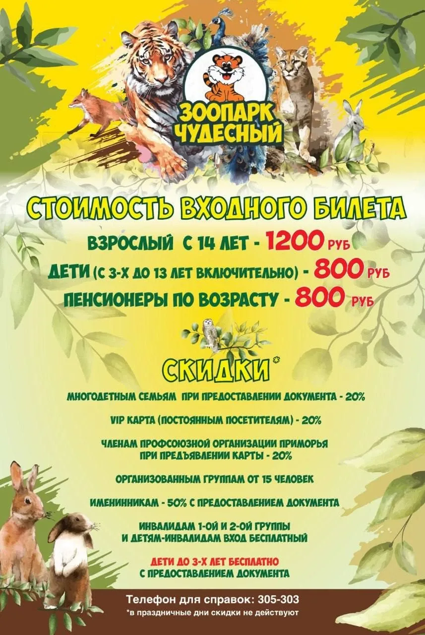 🦁🌿 Друзья, наш Чудесный зоопарк ждёт вас в гости! 🐒✨