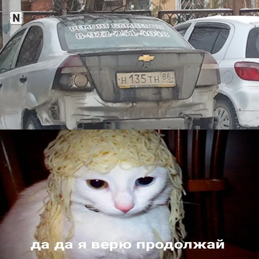 Соседская солидарность
