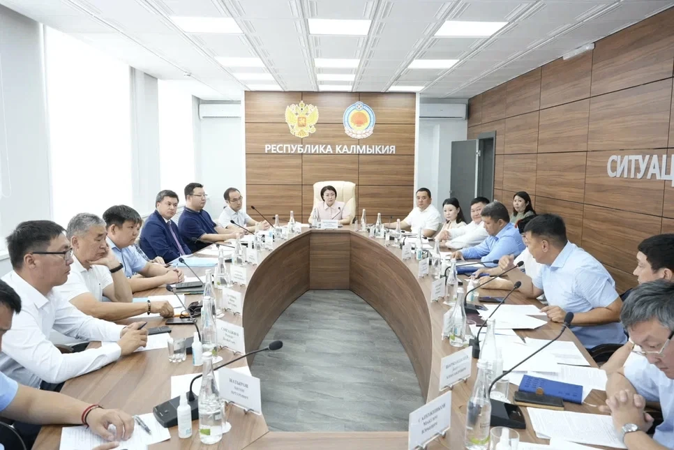 В Правительстве Калмыкии обсудили показатели социально-экономического развития республи...