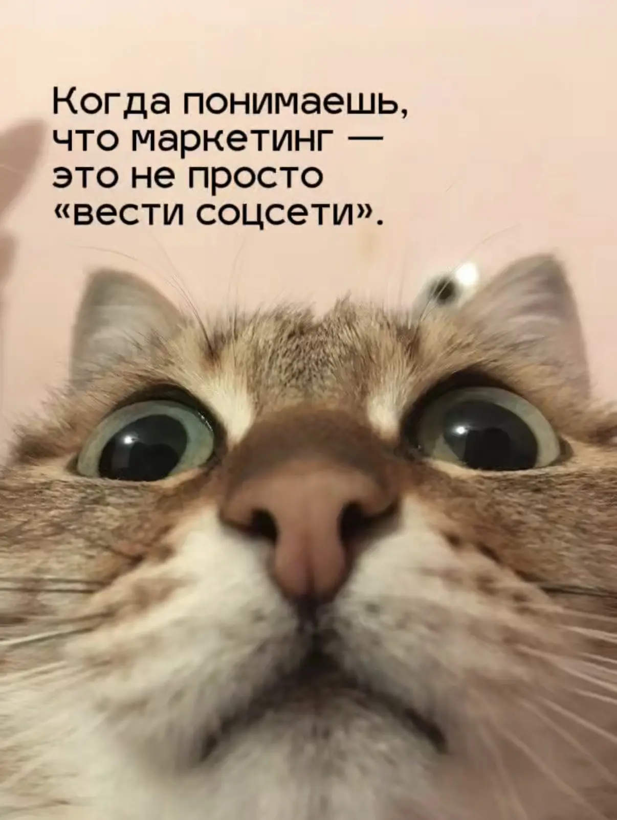 🔥Не знаете, как привлечь больше клиентов? Получите бесплатную консультацию по маркетингу.