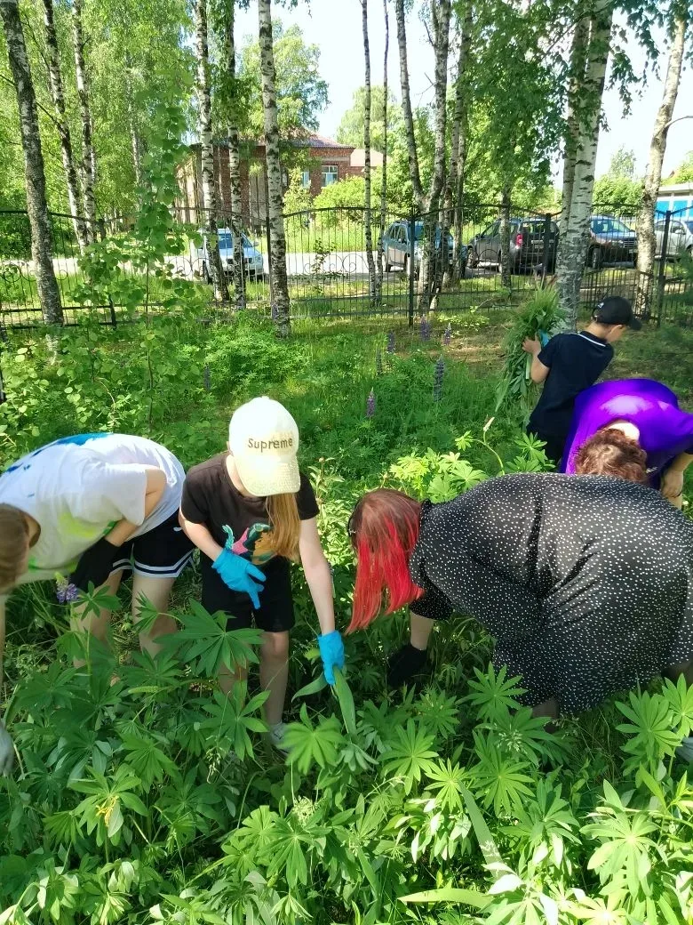 Трудовой десант 🧹💐